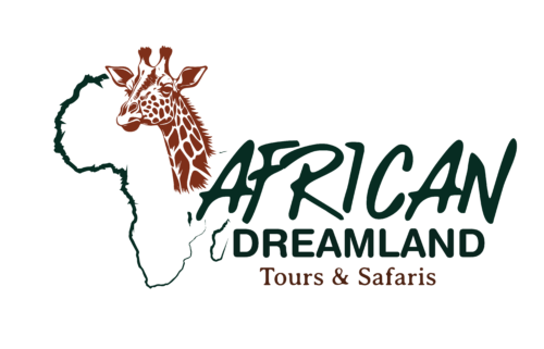 african safari dream