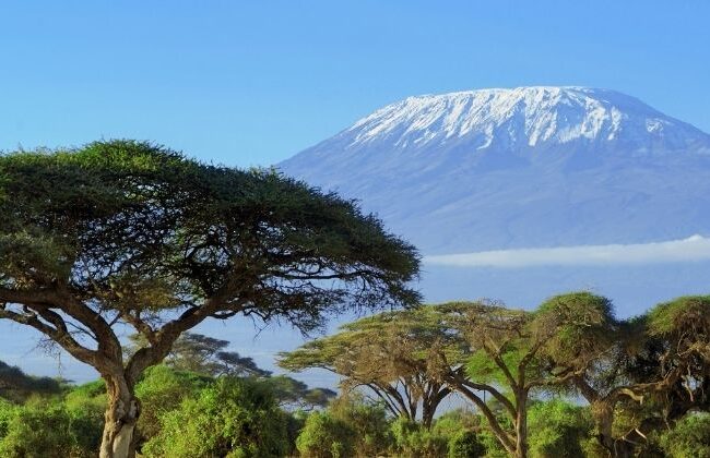 mount Kilimanjaro trekking